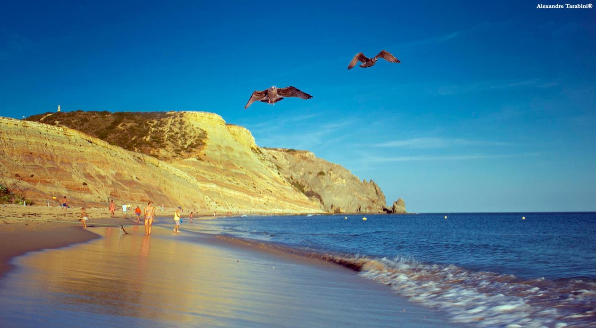 Akisol Apartments In Burgau Budens Eksteriør bilde